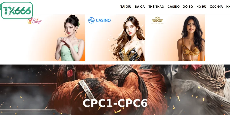 Live Casino TX666 - Chạm Vận May, Bùng Nổ Chiến Thắng 3 Các thương hiệu hàng đầu bắt tay với Live Casino tại TX666