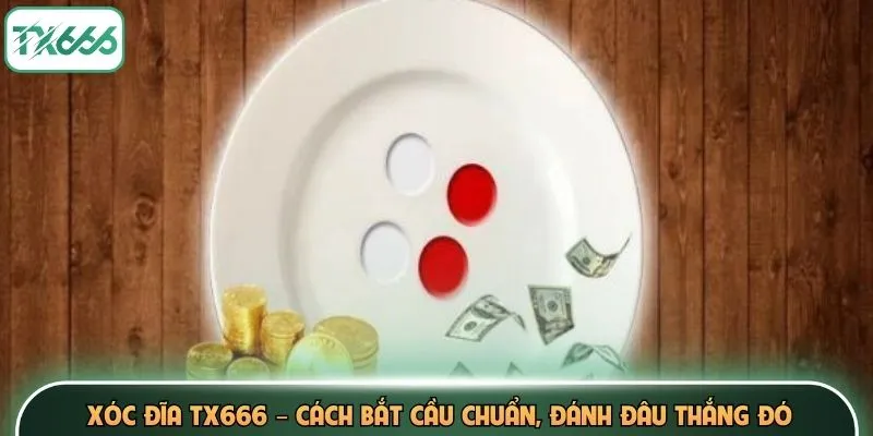 Xóc Đĩa TX666 – Cách Bắt Cầu Chuẩn, Đánh Đâu Thắng Đó 2 Xóc Đĩa TX666